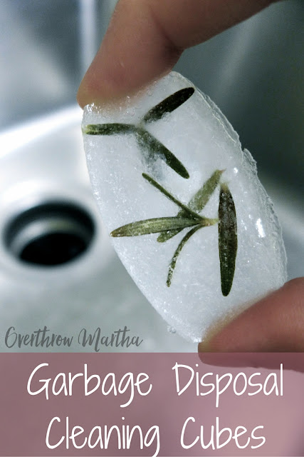 Got a stinky disposal? Learn a super simple and easy way to keep your sink smelling fresh! 