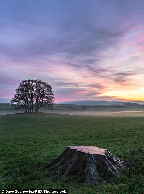 32EC5A0E00000578-3528038-image-m-33_1460