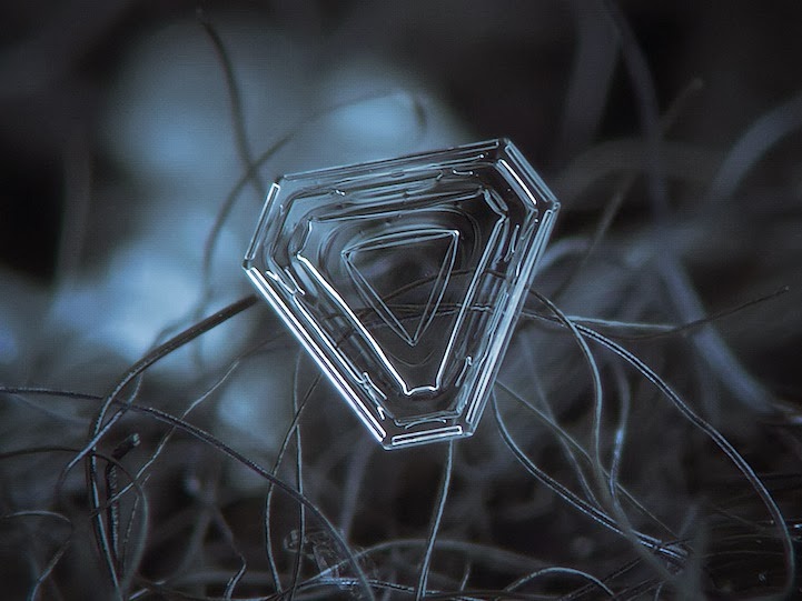 Stunning Macro Details of Uniquely Beautiful Snowflakes With An Inexpensive DIY Camera
