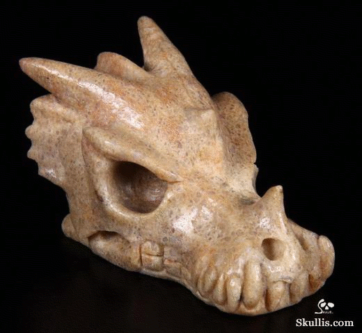 18-Dinosaur-Sauropoda-Fossil-Skull-Skullis-Crystal-Skulls-Gemstone-Sculptures-and-Jewelry-www-designstack-co