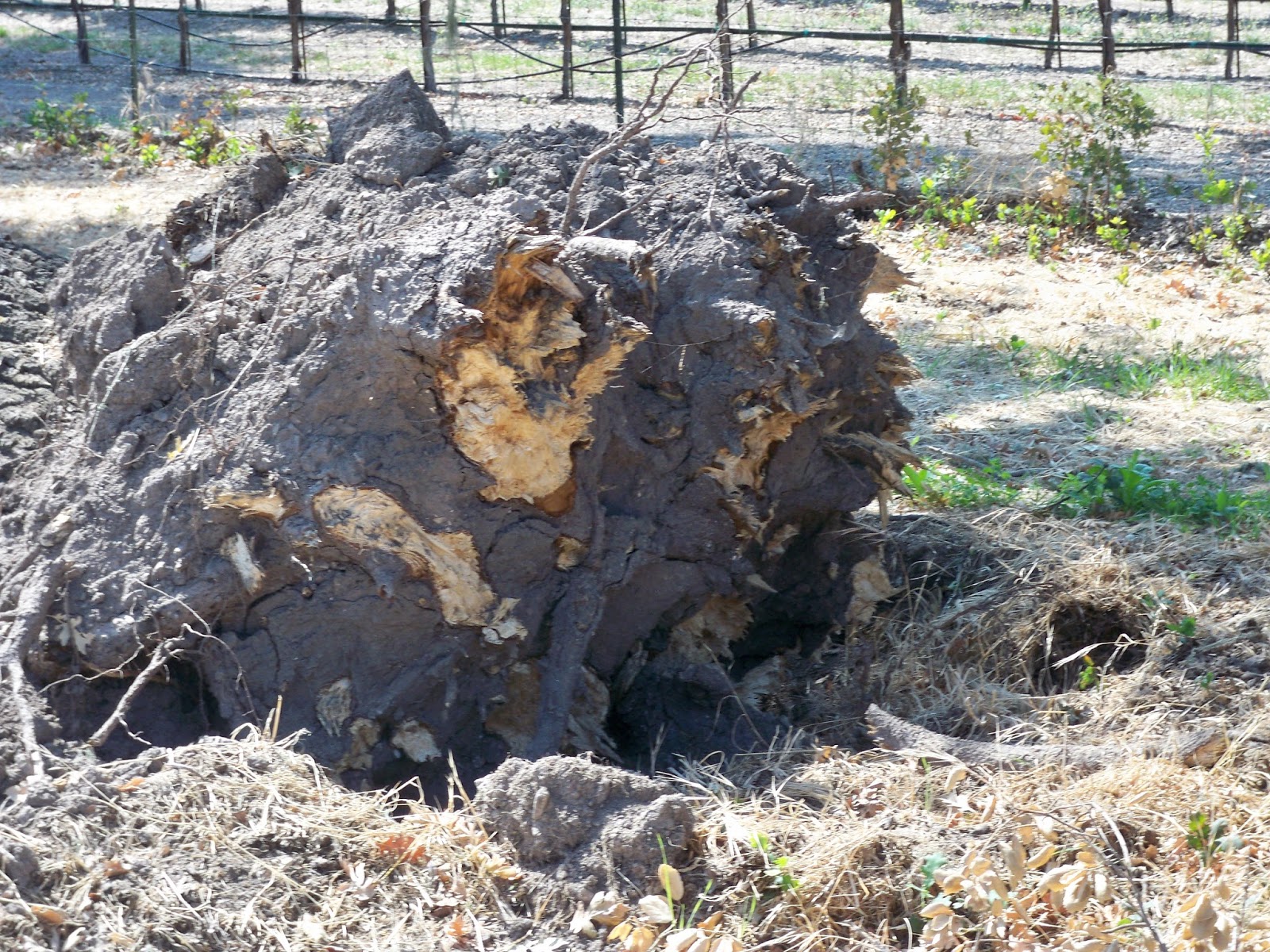 pasodocwine: September 2015
