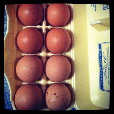 DrKehres health blog: Local Farm Fresh Eggs in Saginaw