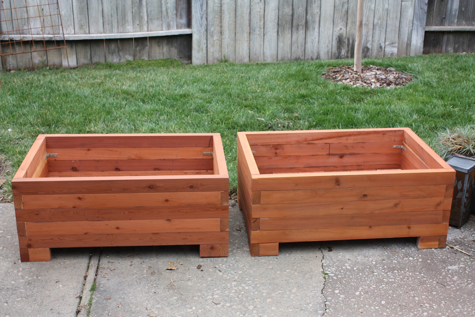 Me So Thorny Redwood Boxes