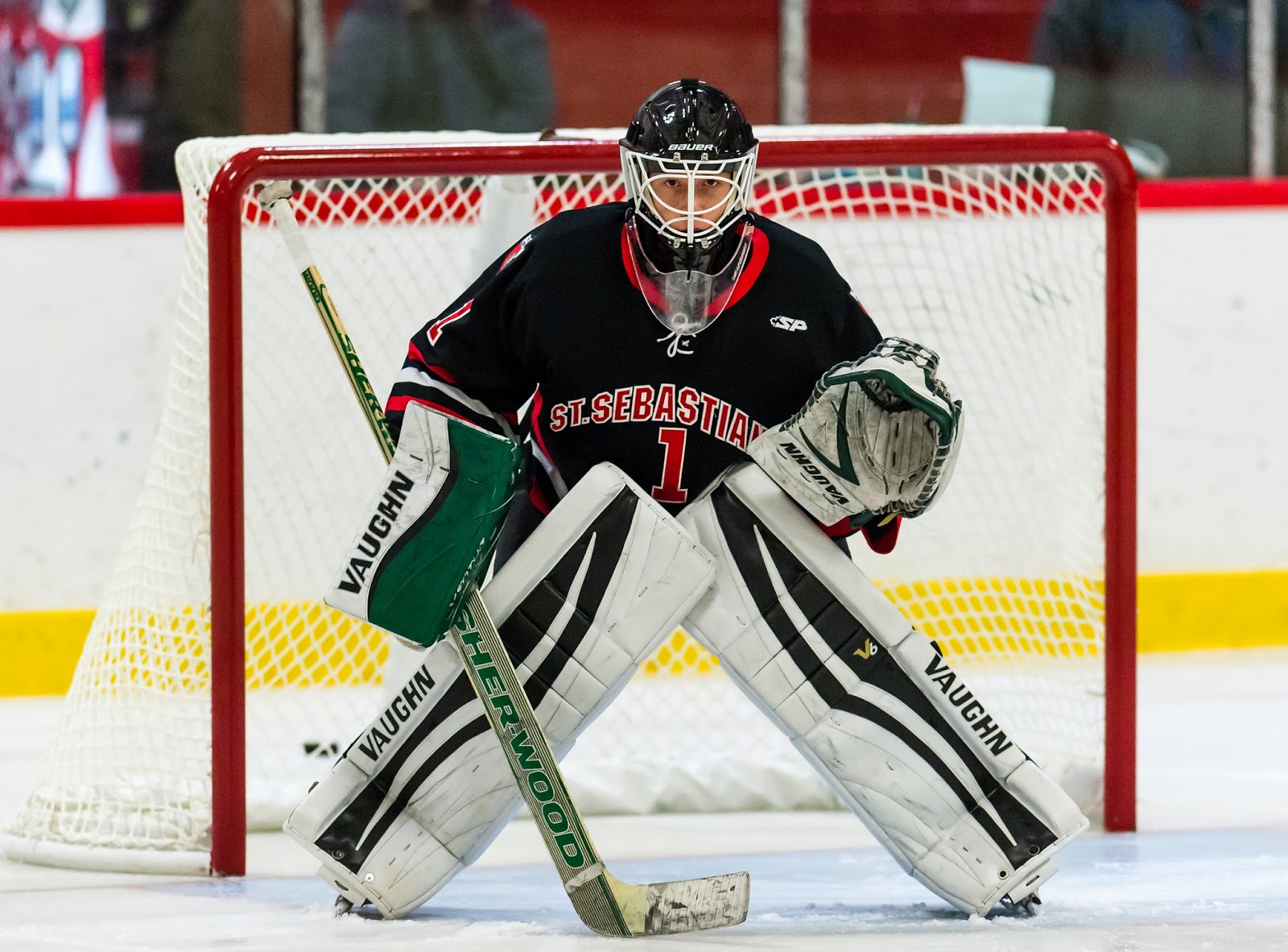 The Terrier Hockey Fan Blog Bluechip goalie Commesso commits for 2020