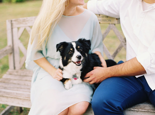 dog included in engagement session