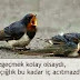 Aşk acısı sözleri,Aşk acısı mesajları