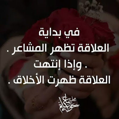 shof_71e2c03230a7f6c