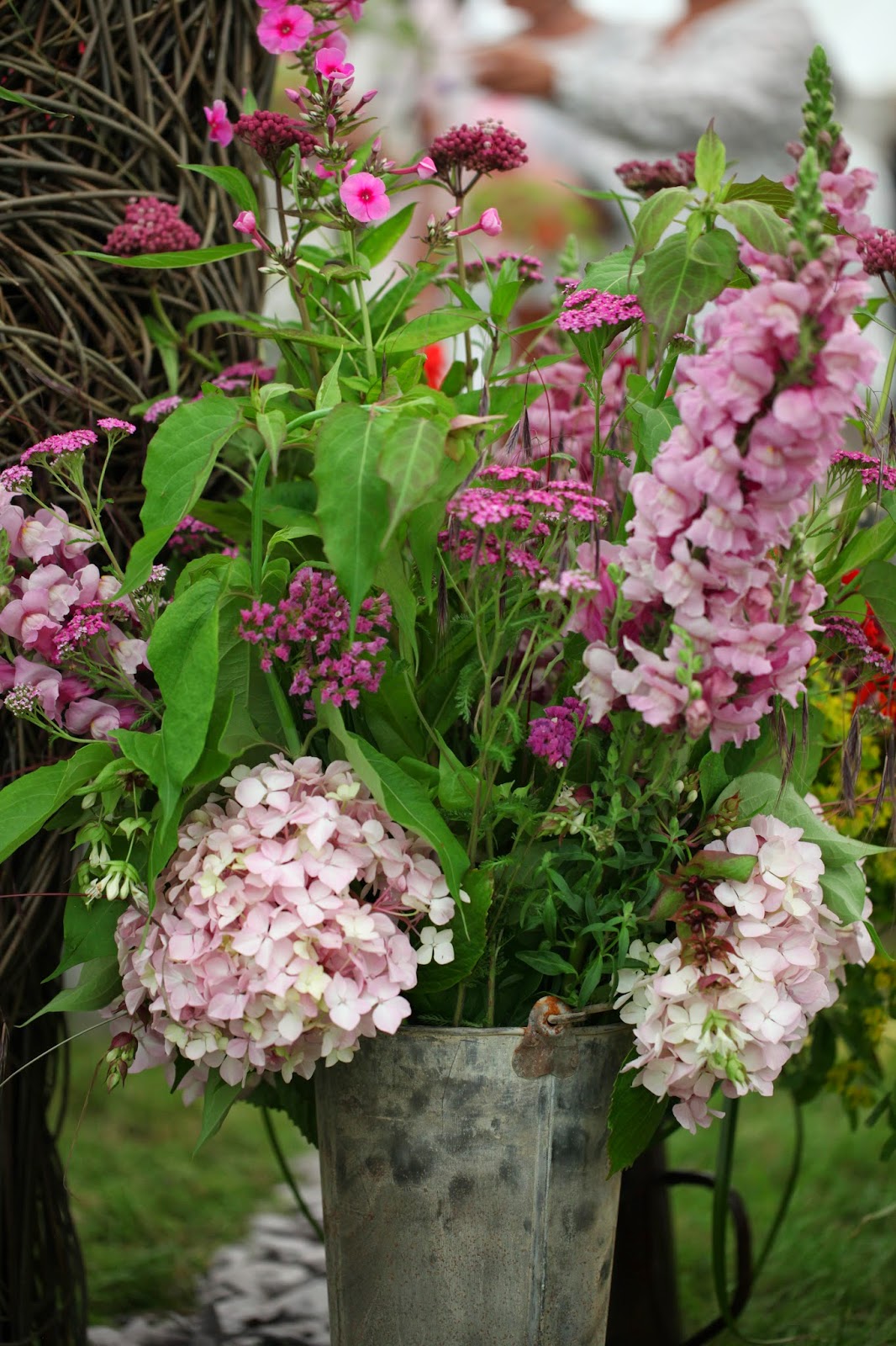 Flowers by Shamini: RHS Hampton Court Flower Show 2014: Flowers from ...