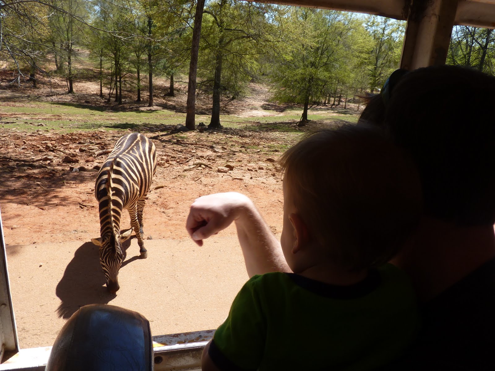 wildlife safari atlanta wildlife safari atlanta