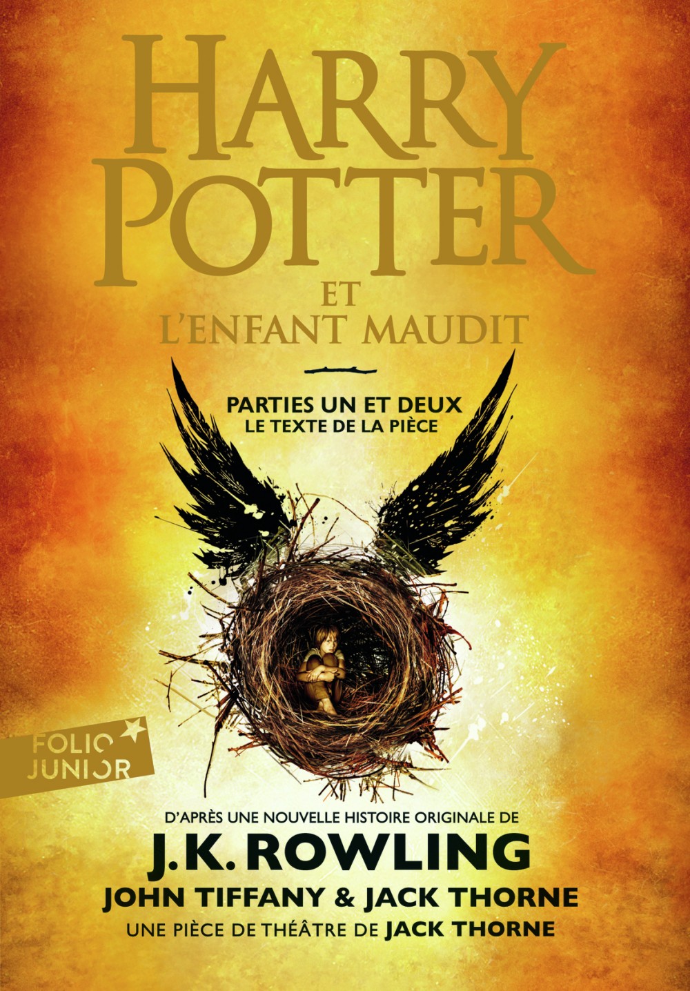 Les lectures de la Diablotine Harry Potter en folie