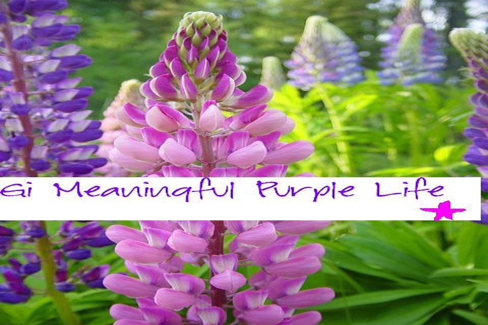 Gi meaningful purple life