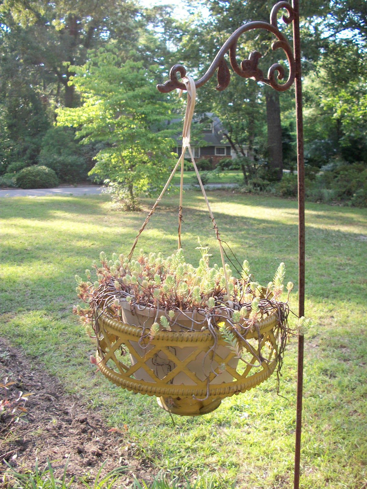 Distressed Donna Down Home: Garden Gifts