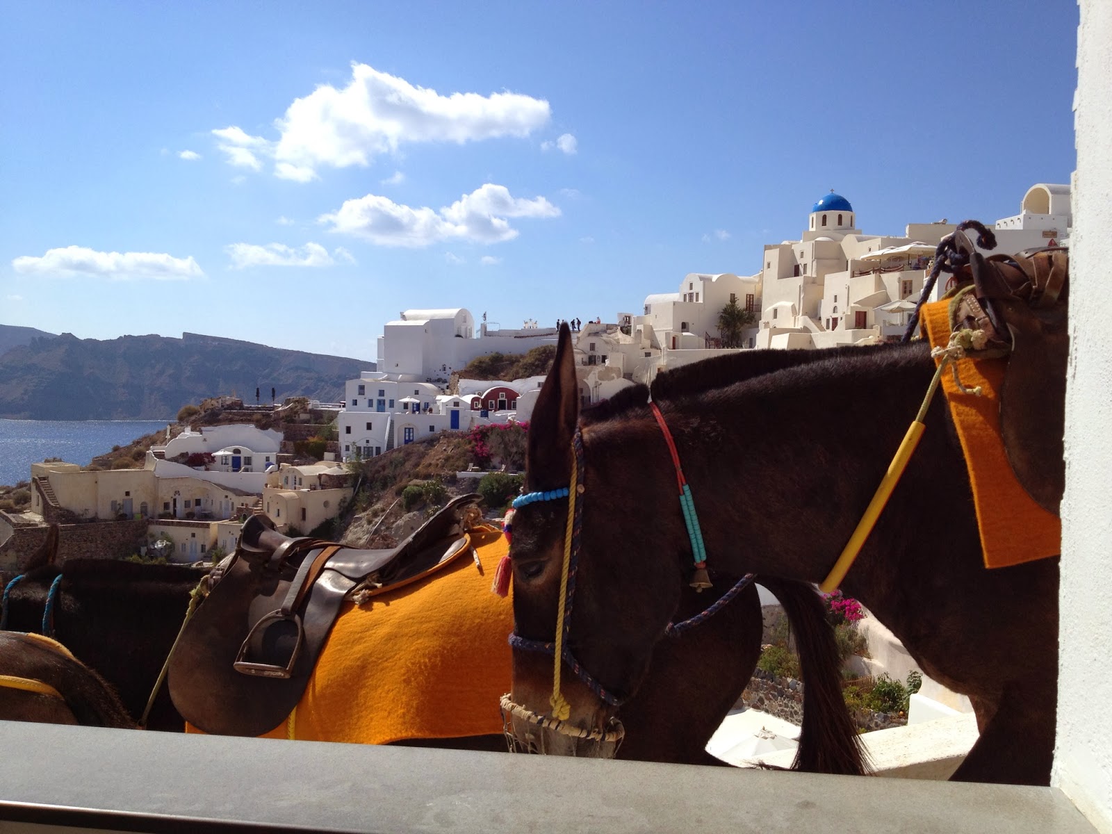 Santorini - Donkeys heading to work