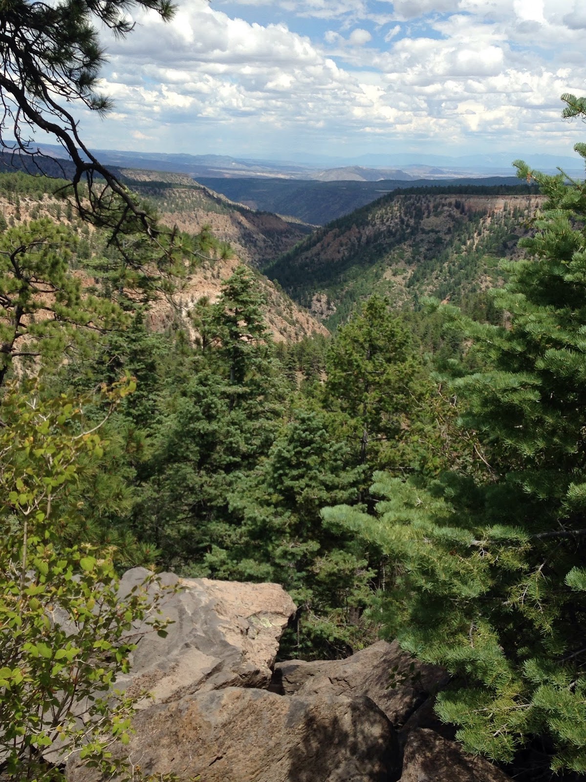 Southern New Mexico Explorer Forest Roads 100,99 Santa Fe National