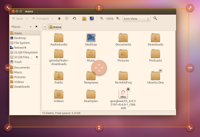 Enable Unity Grab Handles in Ubuntu 11.04