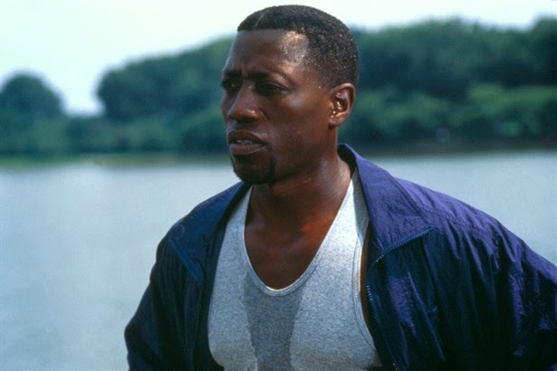 The Ace Black Movie Blog: Movie Review: Murder At 1600 (1997)