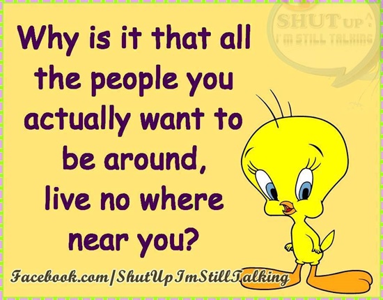 30 Best Funny Tweety Bird Quotes