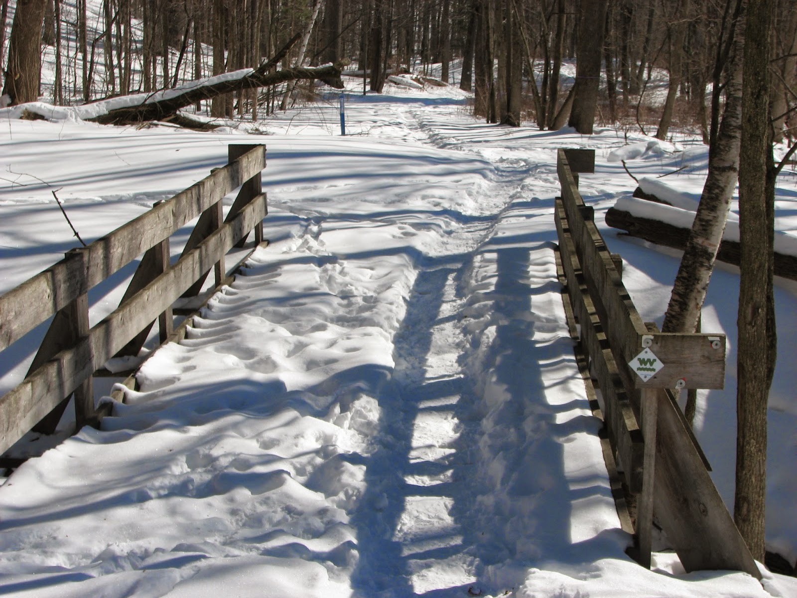 Woodside Natural Area, nature trailsWVPD. (Photos). In search of the