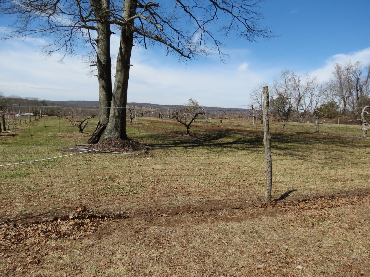 Gone Hikin' Horseshoe Bend Park, NJ North
