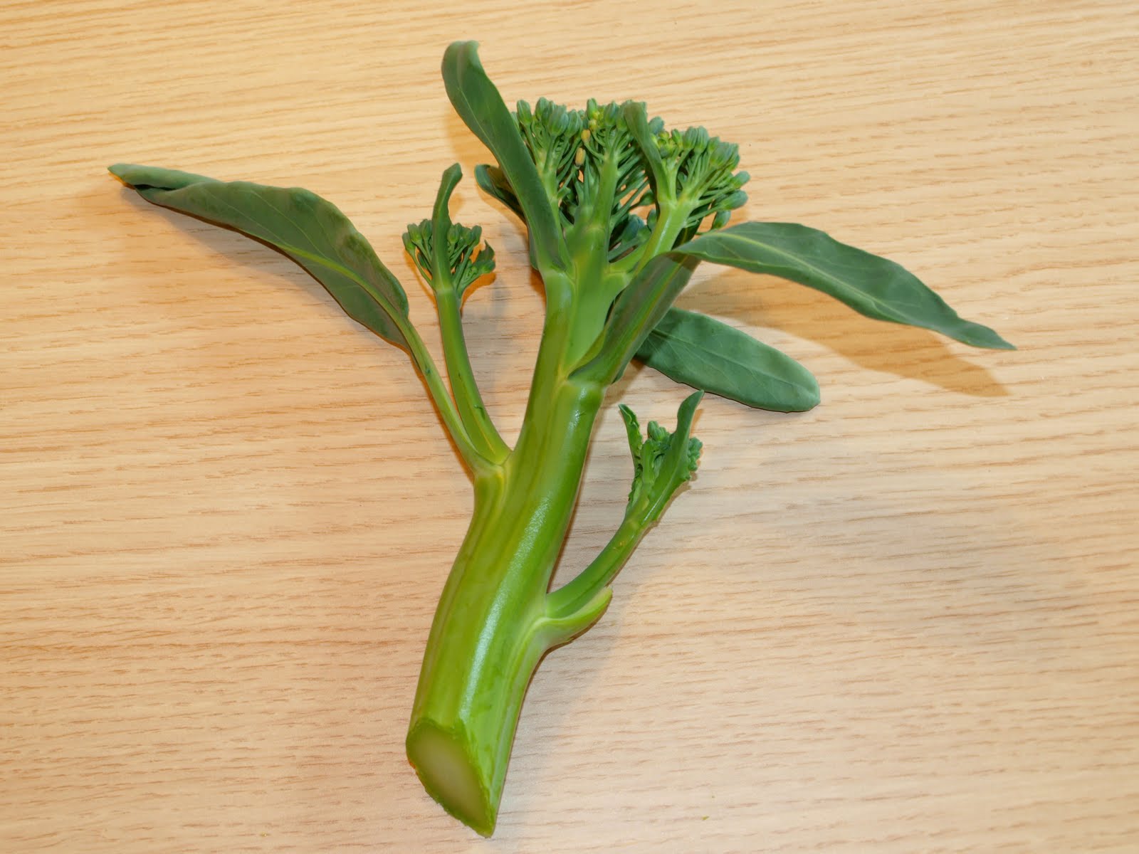 Mark's Veg Plot: First of the Summer Broccoli