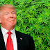 REPARTIRÁN 4.200 PORROS EL DIA DE LA INVESTIDURA DE DONALD TRUMP