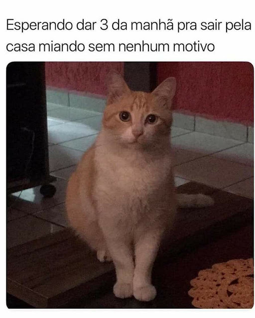Memes engraçados Memes engraçados