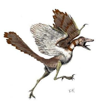 aves de hace 150 millones de años Archaeopteryx