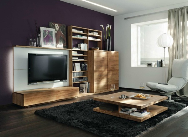 Modern Furniture with Natural Wood Pieces in Austria