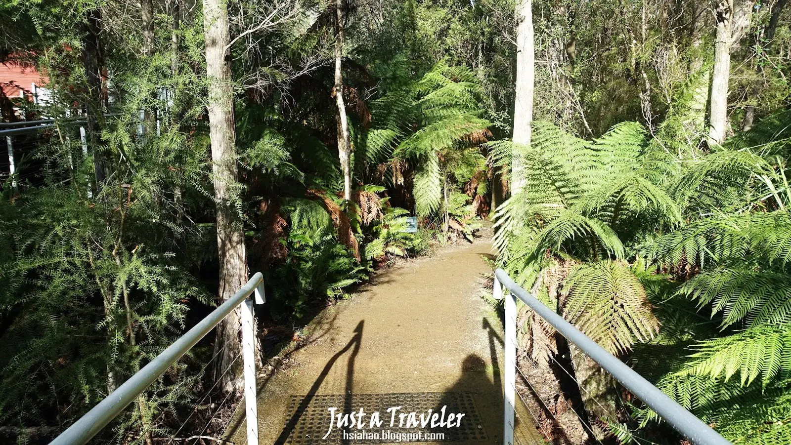 塔斯馬尼亞-南部-景點-推薦-Hastings-Caves-Thermal-Springs-旅遊-自由行-澳洲-Tasmania-Tourist-Attraction-Travel-Australia