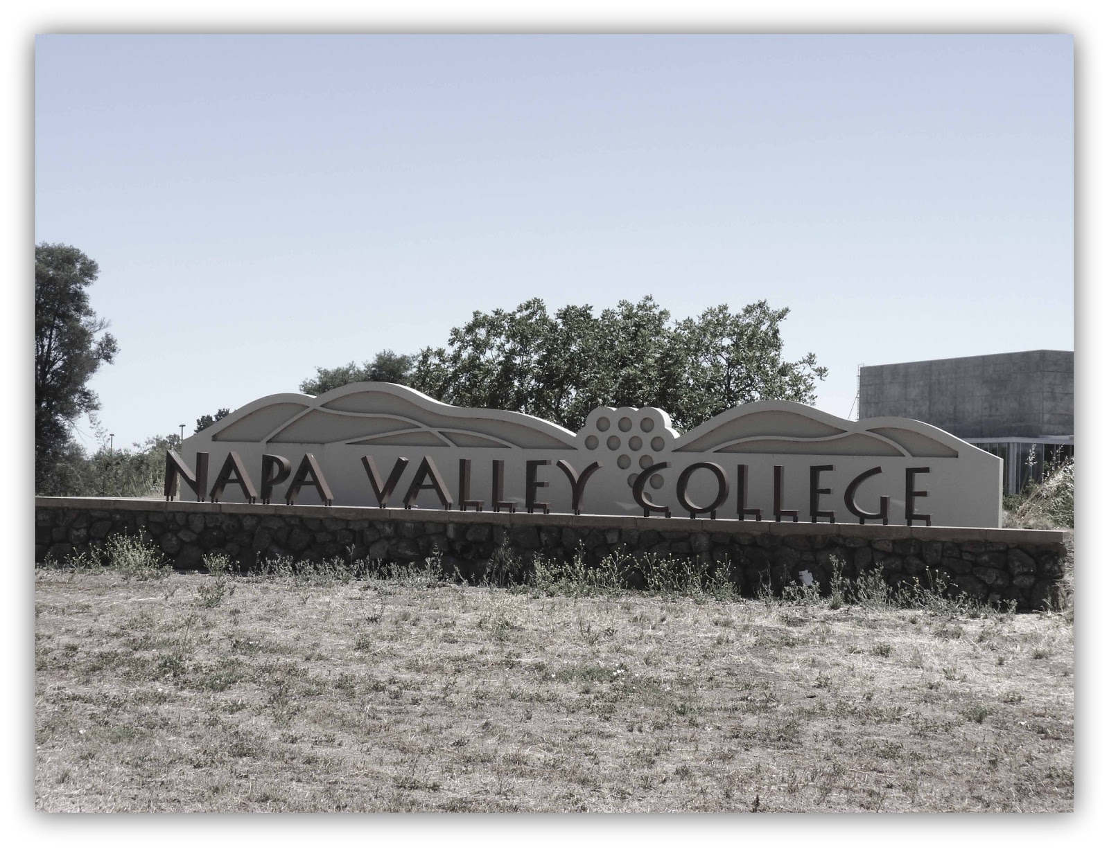 ROSSI SWIM TEAM: Napa Valley College | June 15-16, 2013