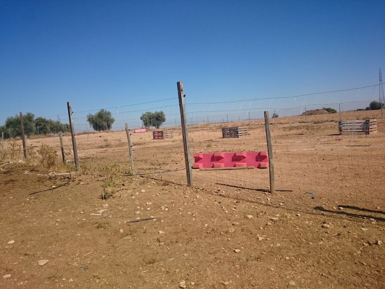 Yeguada El Rinc n Del Campillo