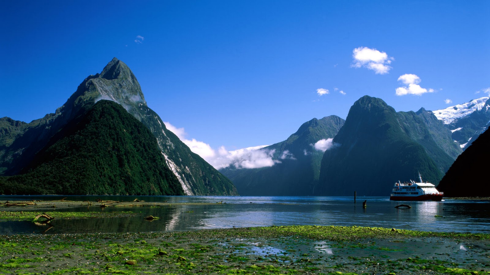 Phoebettmh Travel (New Zealand) Visiting Milford Sound Phoebettmh Travel (New Zealand) Visiting Milford Sound