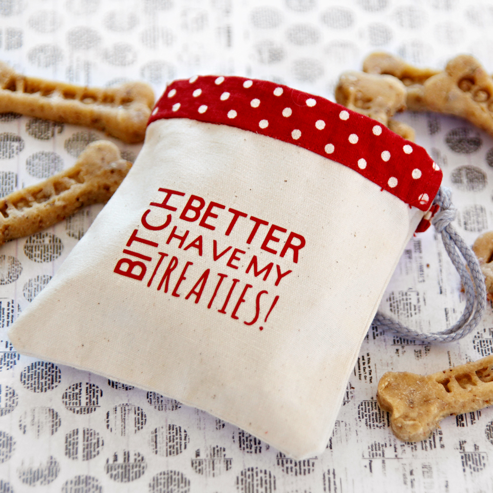 Creativity Unmasked DIY Drawstring Dog Treat Bag with Cricut IronOn