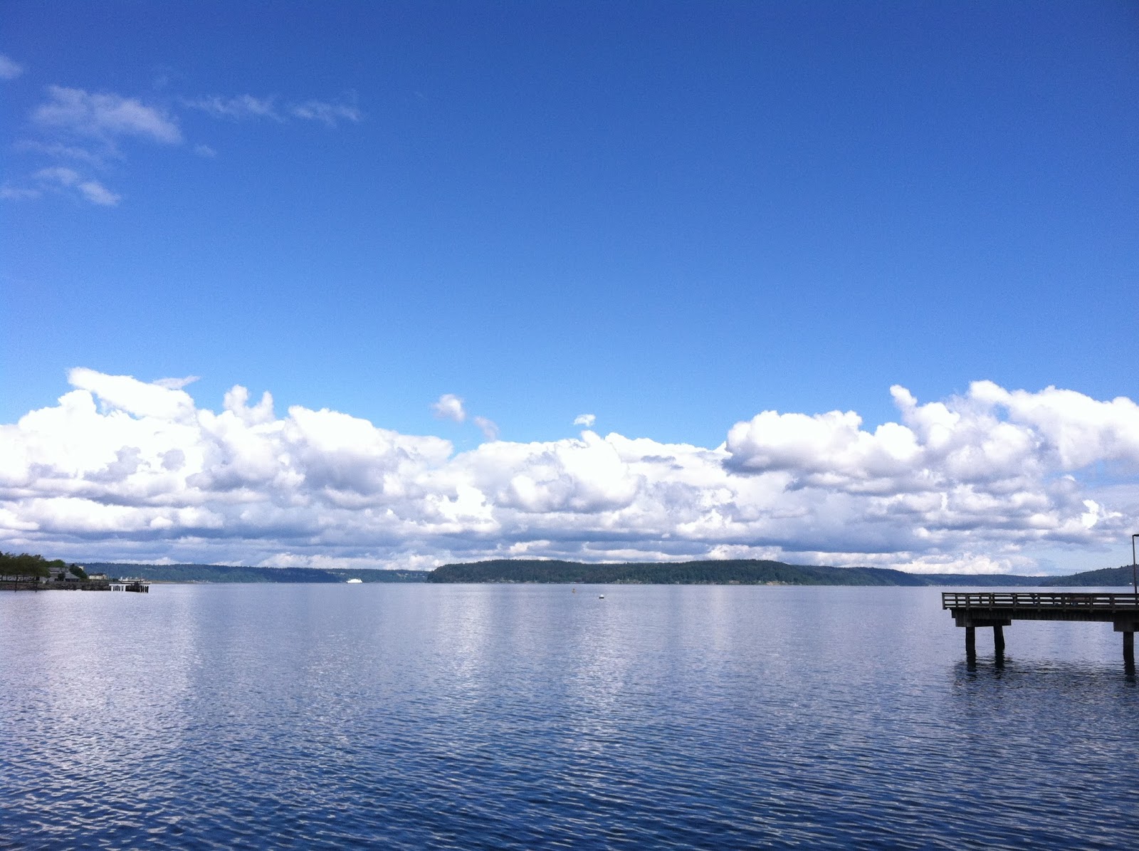 Washington Department of Ecology: Puget Sound Nutrient Watch: The