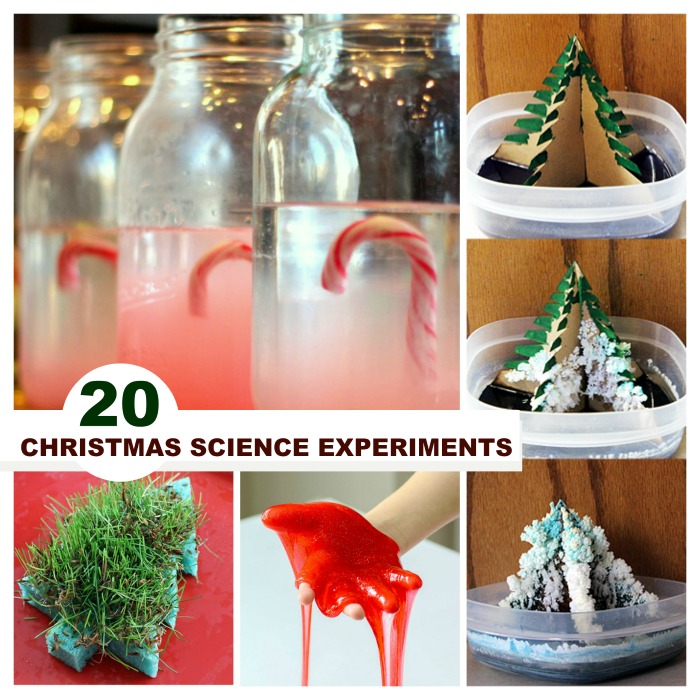 Christmas Science for Kids Growing A Jeweled Rose