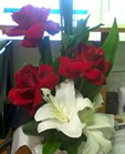 flores para dia dos namorados flores para dia dos namorados