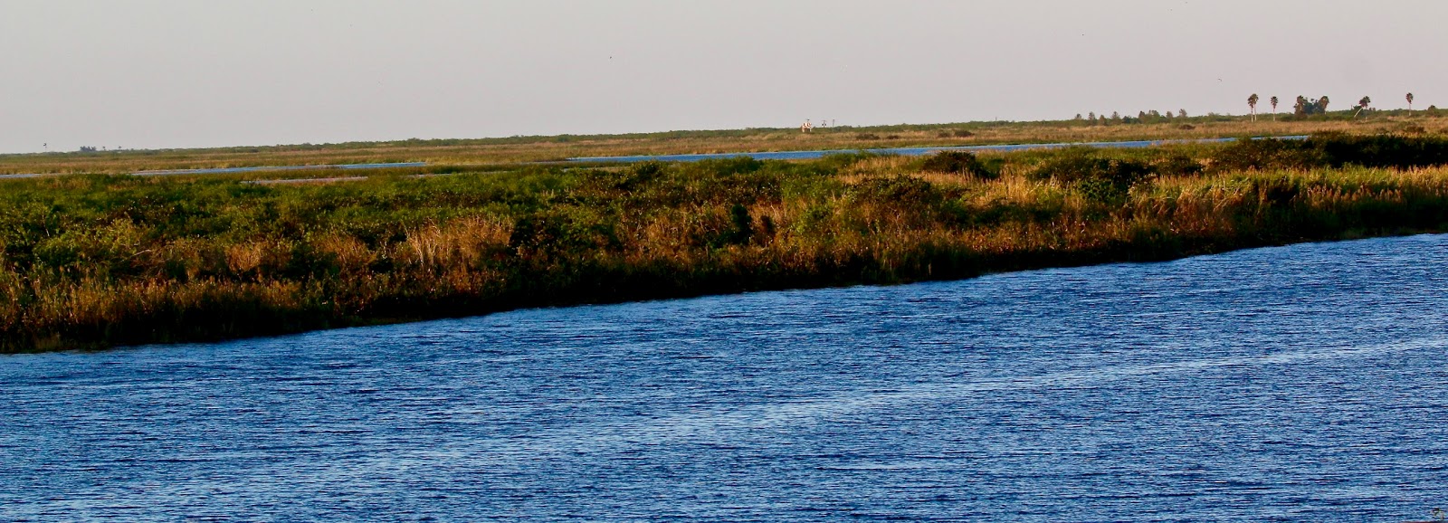 Ty and Ida On the Road Lake Okeechobee