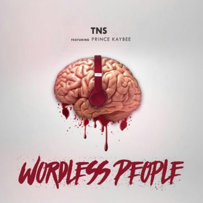 TNS Feat. Prince Kaybee – Wordless People