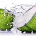 Air Kelapa Bisa Mengatur Kolesterol
