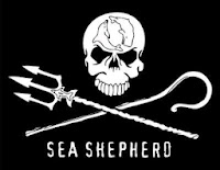 https://www.seashepherd.it/