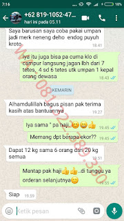 essen oplos untuk ikan mas yang siap pakai essen oplos untuk ikan mas yang siap pakai