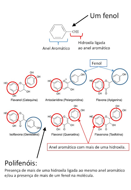 Mais Science: E o chocolate pode, sim, ficar melhor
