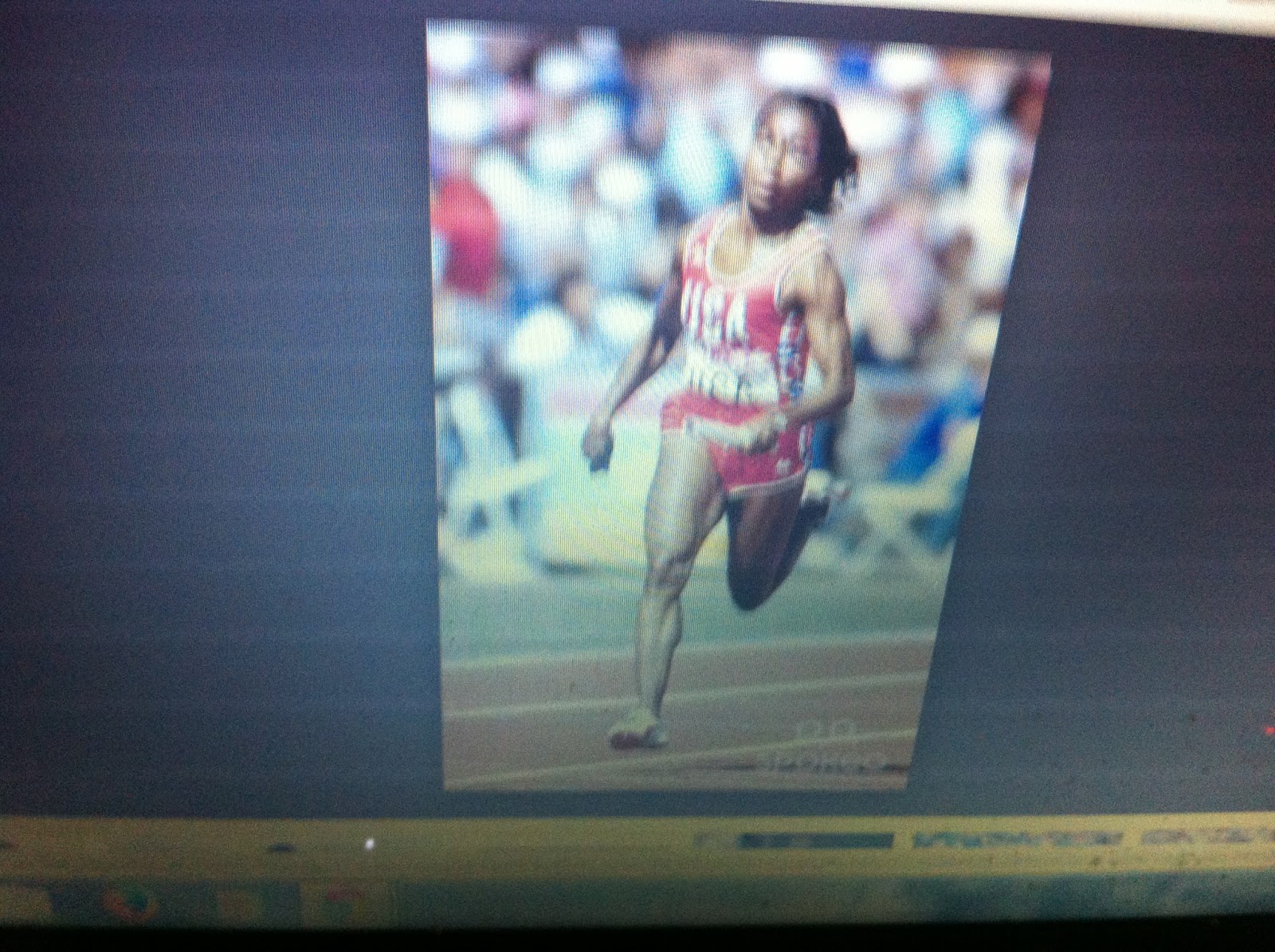 THE BLACK SOCIAL HISTORY BLACK SOCIAL HISTORY AFRICAN AMERICAN