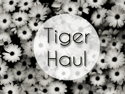 Make up Storage + Mirror | Tiger Haul