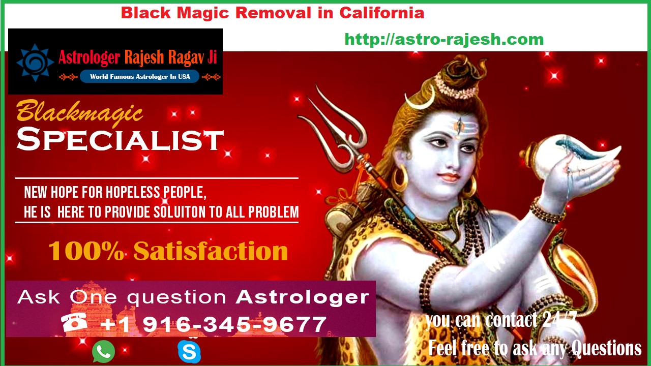 best astrologers chicago
