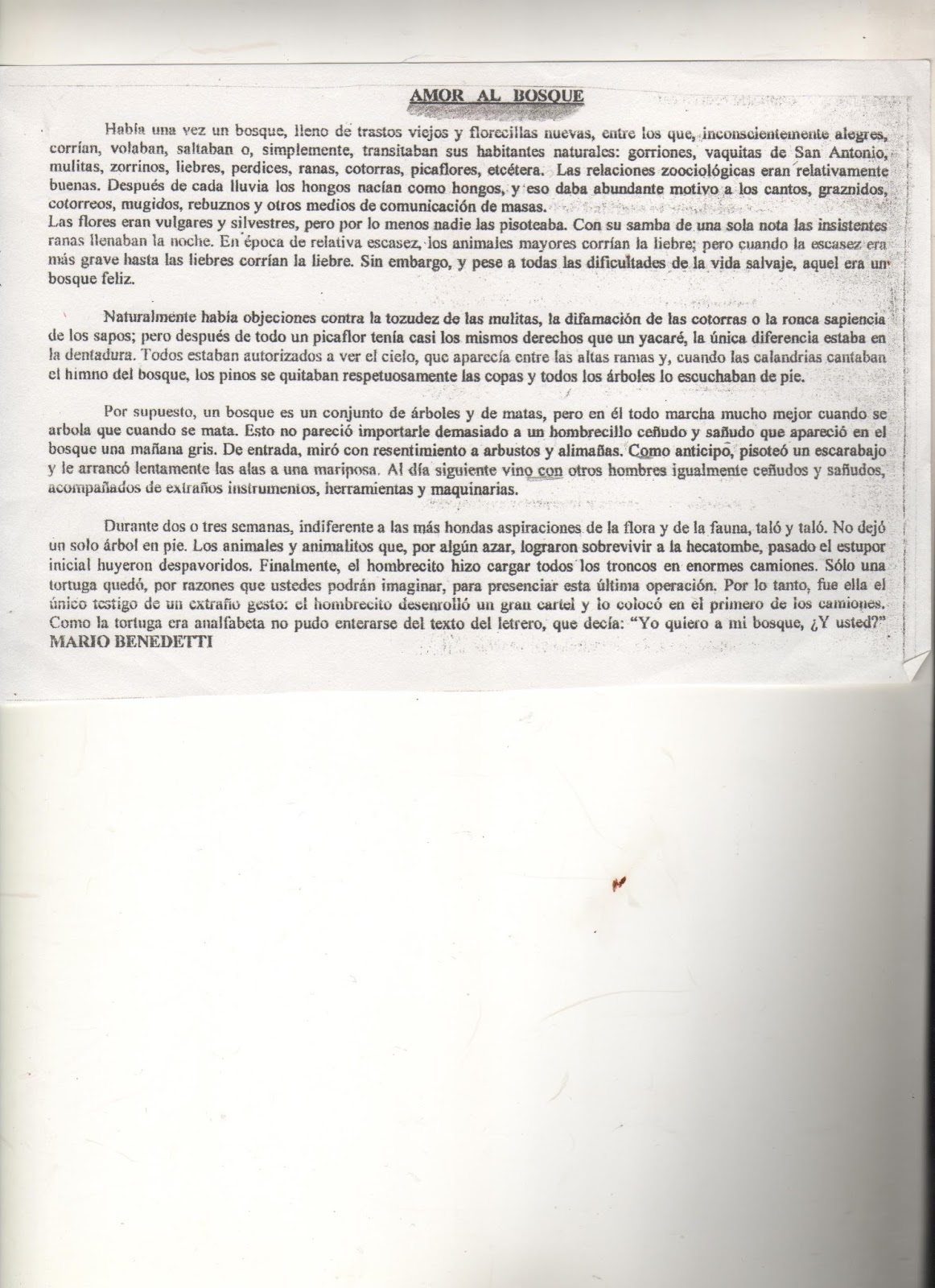Estudiantes De Sextos A Y B De La Escuela 168 Rumania 18 Mario Benedetti Amor Al Bosque Cuento Corto Lectura