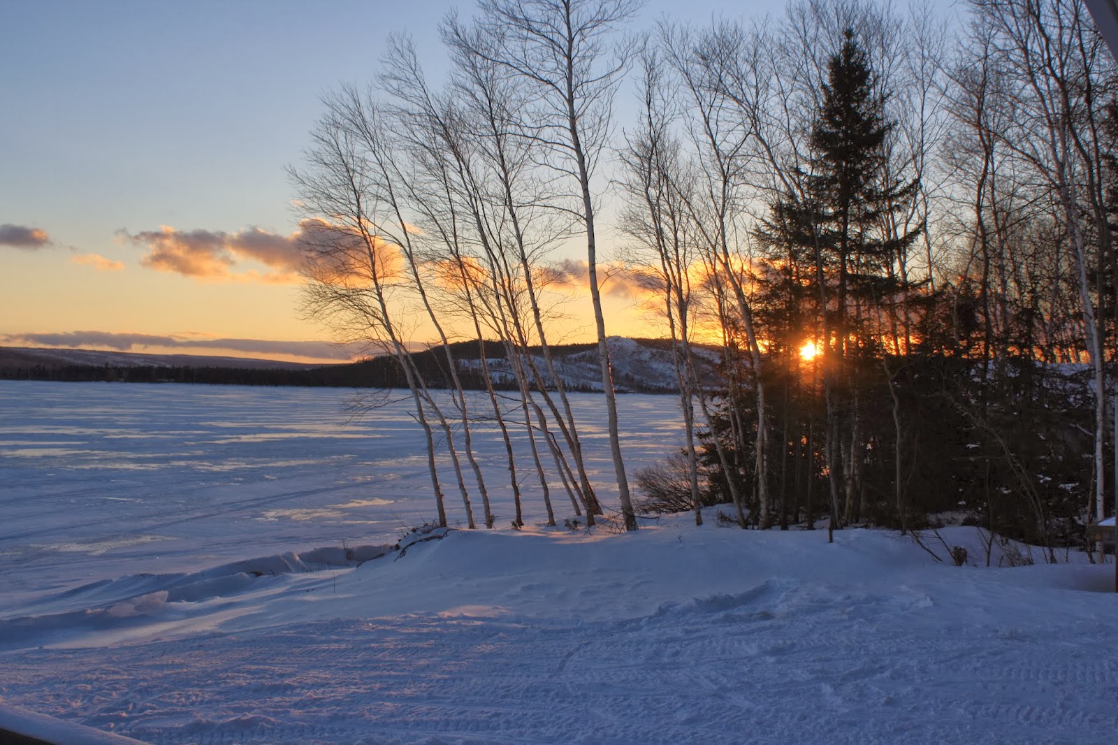 My Dark Cove Pantry Gambo Pond trout & smelt!
