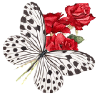 borboleta_butterfly_gif_graphics_glitter