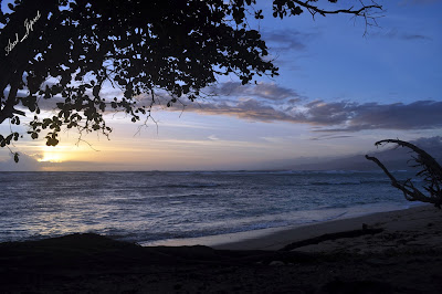 Beautiful sunset on the beach walur sunset Best Place to visit in Bali Island: Beautiful sunset on the beach walur
