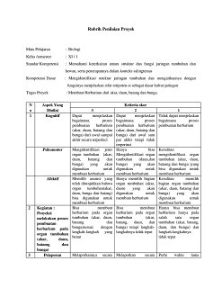 Contoh rubrik penilaian essay 05 image